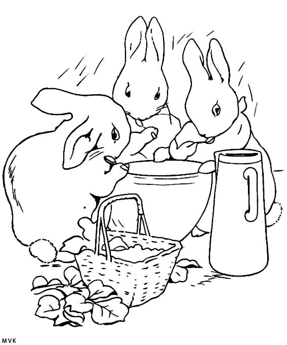 peter rabbit002